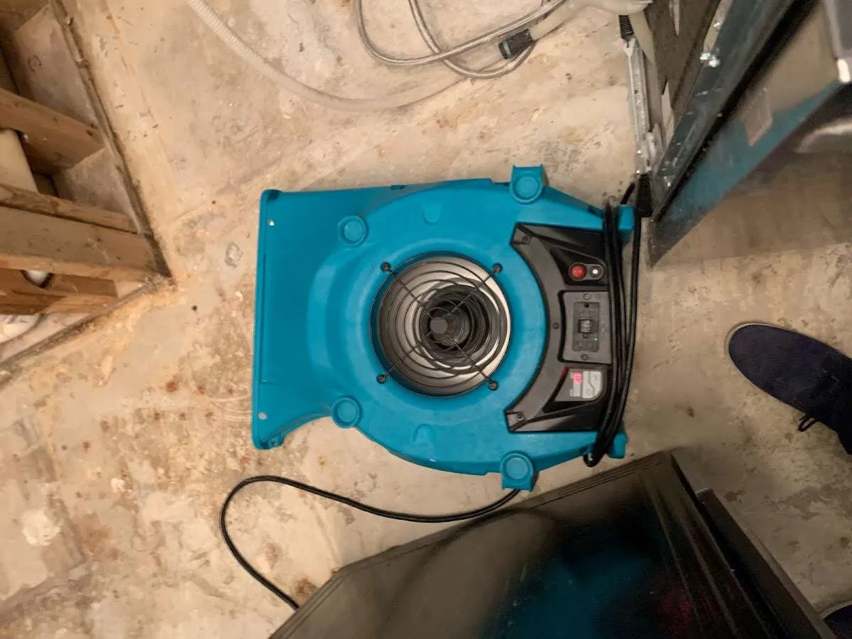 Air mover drying equipment for Mold Remediation & Removal in Chestertown